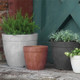Dolce Round Planters Dolce Round Planters
